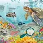 „Gewusel im Riff“. Eine bunte Unterwasserwelt mit vielen Fischen, Korallen und einer grünen Meeresschildkröte.