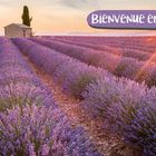 Text: "Bienvenue en France!", "Lavendelfeld in der Provence", "Bienvenue", "Willkommen". Lavendelfeld bei Sonnenuntergang.