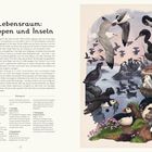 "Lebensraum: Klippen und Inseln." Links Text über Seevögel, rechts eine Illustration mit verschiedenen Vogelarten auf Klippen.