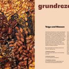 "Grundrezepte: Teige und Massen" steht in brauner Schrift. Links sind Nüsse wie Mandeln, Pekannüsse und Honig sichtbar.