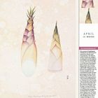 APRIL, 14. WOCHE, ZITRONENGRAS. Illustration von zwei Zitronengrasstängeln. Kalender mit Datumsleiste unten.