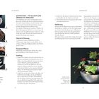 SONNENTURM – Balkone: Material & Werkzeug: Schüsseln, Pflanztöpfe, Blähton. Anleitung: Schüsseln stapeln, Pflanzen einsetzen.