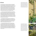 Planen Sie Ihren Raum. Ein kleiner Garten wirkt einladend und schafft Raum für Familie und Freunde. Pflanzenwahl und Anordnung zählen.