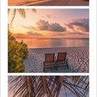 Kalender für Februar 2021. Drei Fotos mit Palmen an einem Strand während des Sonnenuntergangs. Stellen entspannt dar.