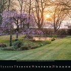 2 Februar; ein Garten mit blühendem Baum bei Sonnenuntergang, saftigem Rasen und Teich im Hintergrund.