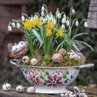 Weiße Blumen mit gelben Narzissen in einem bunt bemalten Sieb, dekoriert mit Eiern, Federn und einer Schnecke.