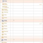 Kalenderblatt für Februar 2027, dekorative bunte Muster oben und unten, mit Tagen und Wochenzahlen.