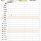 Kalender für Februar 2027. Illustration eines Dompfaffs auf einem Ast mit Blättern und Beeren.