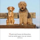 "JANUAR 20, 27. 3. Woche. Hunde sind besser als Menschen, weil sie nicht sagen, was sie wissen. – Emily Dickinson." Zwei Hunde sitzen.