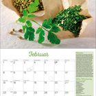 Februar-Kalender mit Korianderblättern, Samen und Rezept für Gelbes Hähnchencurry. Tabellen, Illustration und Beschreibung.