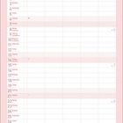 Text: "Manchmal liegt das ganz große Glück in den kleinen Dingen." Kalender für 2-2027, Februar. Illustrationen mit Regenbogen, Kleeblatt, Marienkäfer.