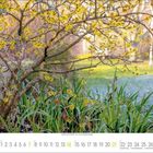 Kalender für Februar 2021. Gelber blühender Strauch mit grünen Gräsern im Vordergrund.