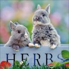 Der Text "HERBS" auf einem Schild, darüber zwei graue Kaninchen; umgeben von bunten Blumen und grünem Gras.