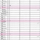 Kalender für Februar 2027. Tage und Wochen nummeriert. "Februar" mit floralen Verzierungen oben. Feiertage markiert.