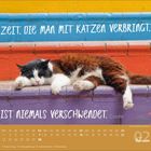 Zitat: „Zeit, die man mit Katzen verbringt, ist niemals verschwendet.“ Kalender unten, schlafende Katze auf buntem Hintergrund.