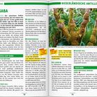 SABA: Vulkan Mount Scenery, 900 m, höchster Punkt. Ziele: The Bottom, Troy Hill. Aktivitäten: Tauchen, Yoga.