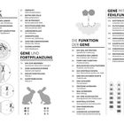 Überschriften: Das DNA-Molekül, Gene und Fortpflanzung, Die Funktion der Gene, Gene mit Fehlfunktion.  
Grafiken: Chromosomen, Hasen, Diagramme.
