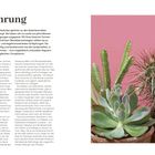 Einführung zu Kakteen und Sukkulenten. Links Text über Pflanzen, rechts Foto mit Kaktus und Sukkulenten vor rosa Hintergrund.