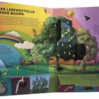 "Der Lebenszyklus eines Baums" beschreibt die Schritte von Keimung bis Absterben, illustriert mit bunten Naturmotiven.