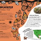 Titel: Wie finden Monarchfalter den richtigen Weg? Text erklärt ihre Wanderung, Reise-Techniken und Naturphänomene.
