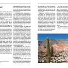 Seite 4: Vorwort. „Rodolfo, warum werde ich Argentinien nie verstehen?“, beginnt der Text. Foto: Wüstenlandschaft mit Kaktus.