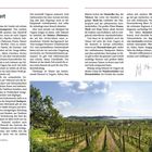 **Vorwort:**

Ungarn ist ein Land mit Wiedererkennungswert, bekannt für Paprika, Gulasch und Budapest. Es bietet Thermalwasser, Balaton und historischen Charme. Die Landschaft ist geprägt von Flüssen und Thermalbädern. Ungarn lädt zu Wanderungen und Radfahren ein.

**Foto:** Weinberge am Balaton unter blauem Himmel.