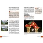 RAW-Aufnahmen entrauschen, ISO L und H nicht verfügbar, Bildqualitätseinstellung, Ein Blick auf ISO L, zwei Fotos mit Bergen.