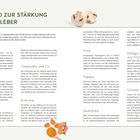 Die Top 10 zur Stärkung unserer Leber: Grünkohl, Kichererbsen, Hüttenkäse, Löwenzahn, Kurkuma, Pilze, Papaya, Omega-3, Sauerkraut, Grünkohl.