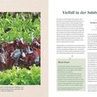 "Vielfalt in der Salatschüssel" und "Mixed Green" beschreiben Salatsorten und Zubereitung mit farbigem Bild von Salatblättern.