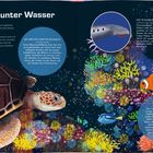 Lichter unter Wasser. Illustration einer Meeresszene mit Schildkröte, Clownfisch und Flussneunauge in buntem Korallenriff.