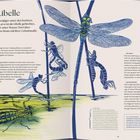 "Die Libelle. Sie ist der Düsenjäger unter den Insekten..." zeigt Libellen in verschiedenen Entwicklungsstadien als Illustration.