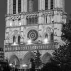 Paris nicht missen zu können, ist Dummheit; es nicht mehr zu lieben, Dekadenz. Gustave Flaubert. Februar, Notre Dame.