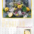 FEBRUAR, Zitronenduft. Kalenderblatt mit Zitronen und Blumen. Tagesübersicht beginnt mit Montag.