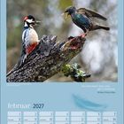 Februar 2027 Kalender; Specht und Star auf Ast; Zitat: "Wo auch immer Vögel sind, gibt es Hoffnung. - Mehmet Murat Ildan".