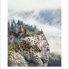 2. Ein Berg mit Bäumen, der Kopf eines Leoparden erscheint darin, ein Mensch steht auf dem Gipfel, umgeben von Vögeln.