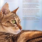 „Die Katze“ von Charles Baudelaire. Nahaufnahme eines ruhenden Tigers. Wochentage 18-24 Oktober.