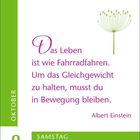 Text: "Das Leben ist wie Fahrradfahren. Um das Gleichgewicht zu halten, musst du in Bewegung bleiben." - Albert Einstein. 

Links vertikal "OKTOBER", darunter "9" und "SAMSTAG". 

Rechts oben eine stilisierte Pusteblume.