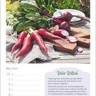 "Roter Rettich; Ursprung: aus dem Mittelmeerraum; enthält Senföle, Kalium, Magnesium; Tipp: geraspelt in Salat."  
Rote Rettiche und Blätter auf Holzbrett im Freien.