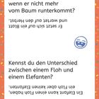 Zwei Witze über Elefanten, mit buntem Rahmen. Smiley-Emoticon rechts.