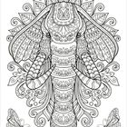 Detaillierte Illustration eines Elefantenkopfes mit floralen Mustern und zwei Schmetterlingen.