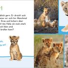 "Roar! Roar! Mein Bruder kuschelt unglaublich gern... Streichle ihn mal am Bauch, dann hörst du es!" Löwenjunges, drei Fotos.