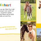 "WIEHER! WIEHER! Streichle mal ihr braunes Fell, dann hörst du es!" Mehrere Fohlen auf einer Wiese, einige spielen.