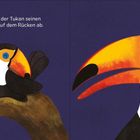 „Zum Schlafen legt der Tukan seinen großen Schnabel auf dem Rücken ab. Gute Nacht!“ Zeichnung eines schlafenden Tukans.