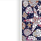 Nummern in Kreisen füllen die Formen von Seesternen und Muscheln auf dunkelblauem Hintergrund aus.