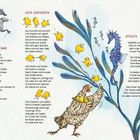 **Ein kleiner Schwan**: Ein Gedicht über einen jungen Schwan, der anders erscheint, aber trotzdem ein Schwan ist. **Küken-Kindergarten**: Beschreibt das Verhalten von Küken, die kuscheln und spielen. **Seepfohlen**: Erklärt das Leben der Seepferdchen-Kinder. Rechts sind gelbe Küken und ein Seepferdchen illustriert.