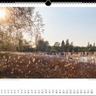 Abendstimmung am Ufer der Insel Reichenau – markant die Silhouette der Kirche St. Georg. Kalenderblatt für Februar 2021.