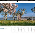 Kalender-Seite für Februar, blühende Magnolienbäume und Narzissen an einer Promenade mit Wasser und Bergen im Hintergrund.