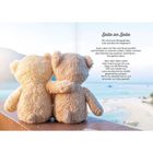 "Seite an Seite. Wir sind zwei Königskinder. Lass uns das nie vergessen! Auch wenn wir hier und da straucheln..." Zwei Plüschbären am Strand.