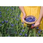 „Carpe diem! Überhaupt meine ich, wir sollten bei allem Tun...“, eine Person im gelben Kleid pflückt blaue Kornblumen.