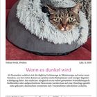 "Wenn es dunkel wird" steht im Fokus. Eine Katze lugt aus einem kuscheligen, fellartigen Nest hervor. Darunter ein Kalenderblatt.